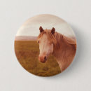 Suche nach schönes tier buttons Retro