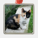 Suche nach lustige katzen in der ornamente Für katzenliebhaber