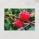 Suche nach himbeeren visitenkarten Obst