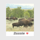 Suche nach bison aufkleber Tierwelt