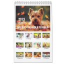 Suche nach lustige hunde kalender Tierkalender