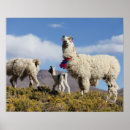 Suche nach anden berg poster Argentina