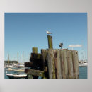 Suche nach seegras poster Natur