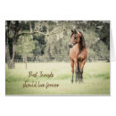 Suche nach für verlust des pferds beileidskarten Bauernhof