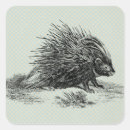 Suche nach porcupine aufkleber Tiere