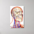 Suche nach körper leinwandbilder Ansicht