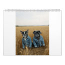 Suche nach mops kalender Terrier