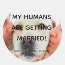 Suche nach hundeschlitten aufkleber Für alle