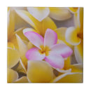 Suche nach plumeria fliesen Hawaii
