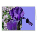 Suche nach schwertlilie postkarten Blume