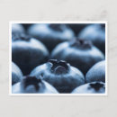 Suche nach frucht postkarten Heidelbeere