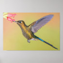 Suche nach sylph Für alle