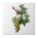 Suche nach grüne trauben untersetzer Frucht