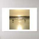 Suche nach seemöwen alle poster Vögel