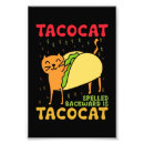 Suche nach rückwärts poster Taco