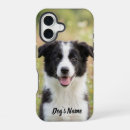Suche nach border collie iphone hüllen Welpe