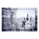 Suche nach winterbaum poster Kalt