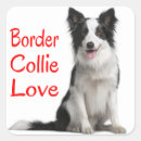 Suche nach hund an bord aufkleber Border collie