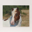 Suche nach haflinger puzzle Kopfschuss