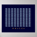 Suche nach whale poster Blauwal