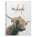 Suche nach schottland kleine notizbücher Kuh