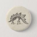 Suche nach fossil buttons Paläontologie