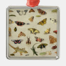 Suche nach insekten ornamente 17