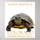 Suche nach reptilien poster Schildkröte