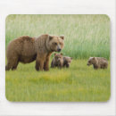 Suche nach bärenjunge mousepads Babybär