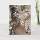 Suche nach roadrunner karten Wüste