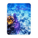 Suche nach belize magnete Ozean