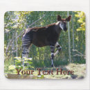 Suche nach waldgiraffe Zoo