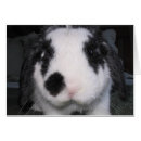 Suche nach weißes häschen postkarten Liebe