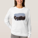 Suche nach moschusochsen tshirts Schnee