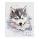 Suche nach sibirien poster Hund