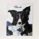 Suche nach border collie puzzle Haustier