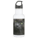 Suche nach langhaarige katze Kitty
