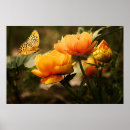 Suche nach schmetterling und blume poster Natur