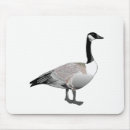 Suche nach kanadisches mousepads Gänse