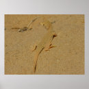Suche nach mojave poster Natur