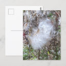 Suche nach seidener postkarten Jede person