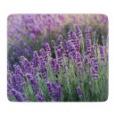 Suche nach lavendel schneidebrettchen Violette blumen