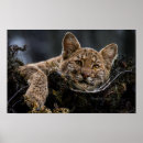 Suche nach tree poster Baum