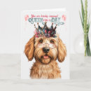 Suche nach labradoodles karten Für sie