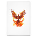 Suche nach phoenix vogel poster Feuer