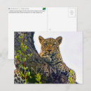 Suche nach tansania postkarten Wildtiere
