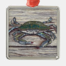 Suche nach meeresfrüchte ornamente Ozean