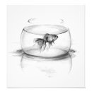 Suche nach goldfish poster Haustiere