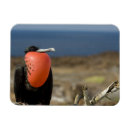 Suche nach galapagos magnete Nationalpark