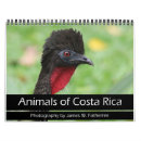 Suche nach affe kalender Vogel